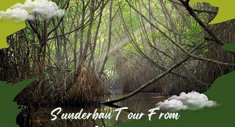Visit The Wild With Sundarban Tour From Kolkata