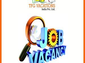 Back Office Executive