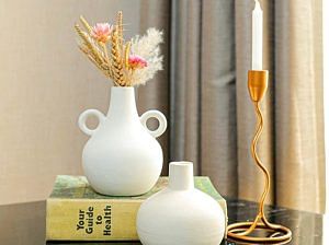 Harappan Vaeses Combo | Set of 2