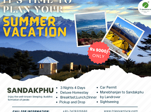Ascend to Magnificence: Sandakphu Tour Package for
