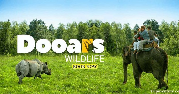 Dooars Tour Package: Discover Nature’s Serenity wi