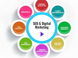 complete web solution company India