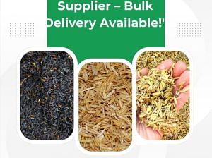 Trusted Rice Husk Supplier – Bulk Delivery Available!”